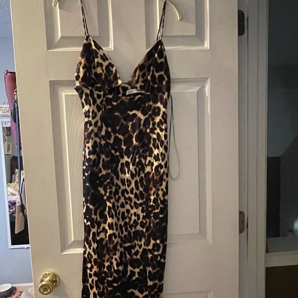 ZARA Animal Print Dress